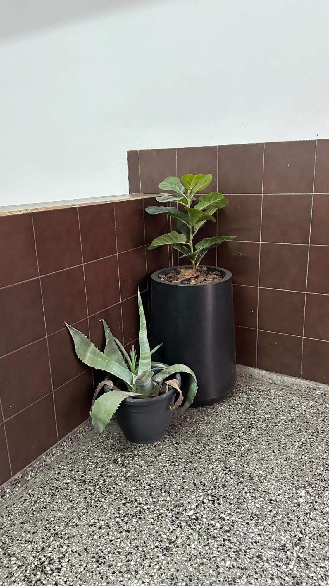 Apartamento Departamentos Rivadavia Mendoza